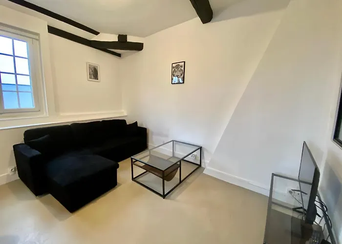 Henry Ii - Petit Lumineux - 013 Apartment *